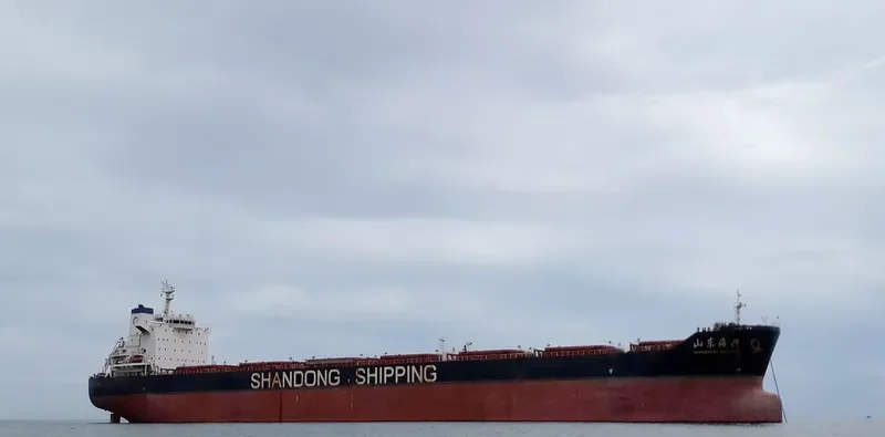 SHANDONG HAI XING Bulk Carrier IMO 9591545 photo 4