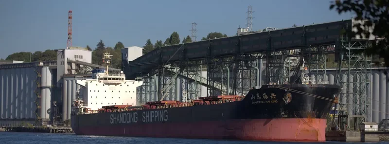 SHANDONG HAI XING Bulk Carrier IMO 9591545 photo 7