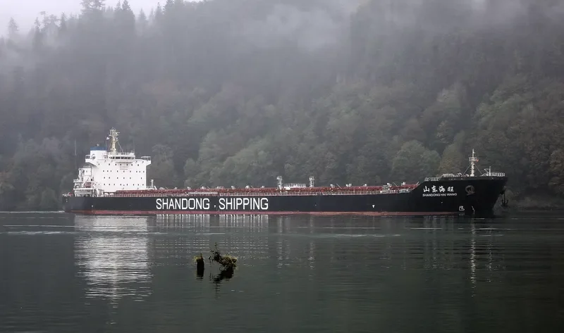 SHANDONG HAI WANG Bulk Carrier IMO 9591557