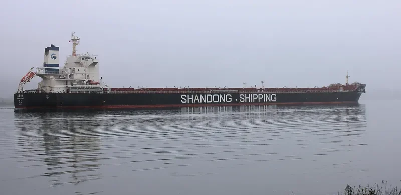 SHANDONG HAI WANG Bulk Carrier IMO 9591557 photo 2