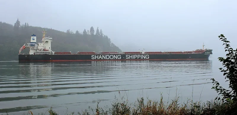 SHANDONG HAI WANG Bulk Carrier IMO 9591557 photo 5