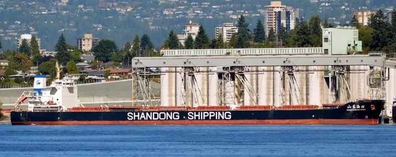 SHANDONG HAI WANG Bulk Carrier IMO 9591557 photo 7