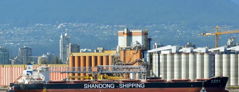 SHANDONG HAI WANG Bulk Carrier IMO 9591557 photo 9