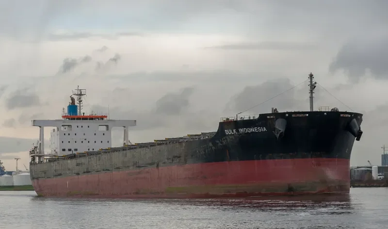 CEDRIC OLDENDORFF Bulk Carrier IMO 9591571 photo 2