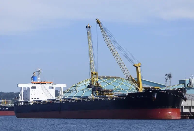 CEDRIC OLDENDORFF Bulk Carrier IMO 9591571 photo 4