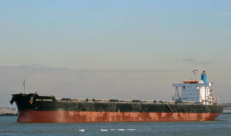CEDRIC OLDENDORFF Bulk Carrier IMO 9591571 photo 10