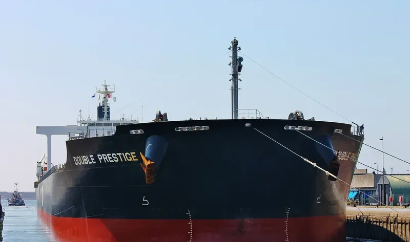 DOUBLE PRESTIGE Bulk Carrier IMO 9591583 photo 8