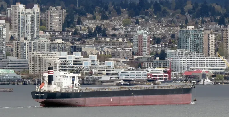 LOWLANDS GREEN Bulk Carrier IMO 9591595 photo 5