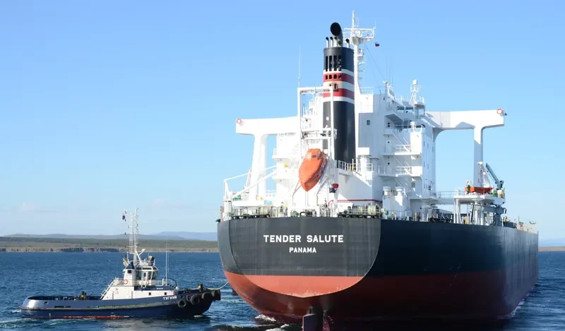 LOWLANDS GREEN Bulk Carrier IMO 9591595 photo 6