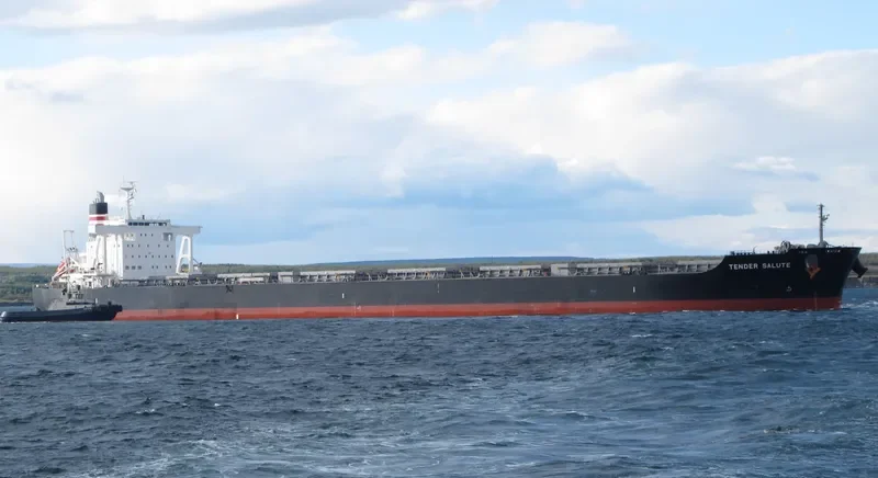 LOWLANDS GREEN Bulk Carrier IMO 9591595 photo 10