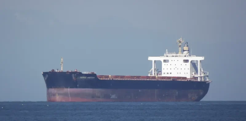 VENUS HISTORY Bulk Carrier IMO 9591600
