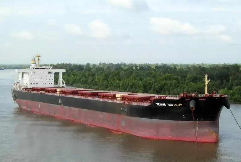 VENUS HISTORY Bulk Carrier IMO 9591600 photo 5