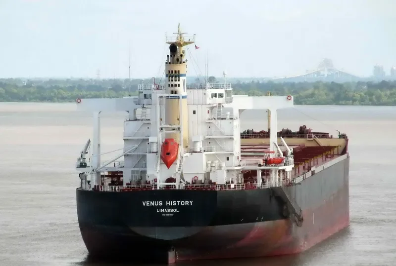 VENUS HISTORY Bulk Carrier IMO 9591600 photo 8