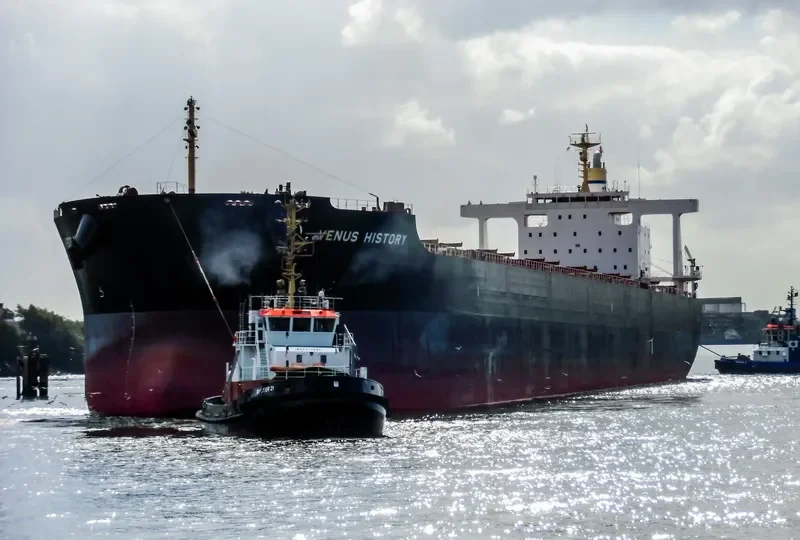 VENUS HISTORY Bulk Carrier IMO 9591600 photo 9