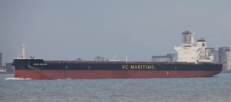 DARYA GAYATRI Bulk Carrier IMO 9591686 photo 8