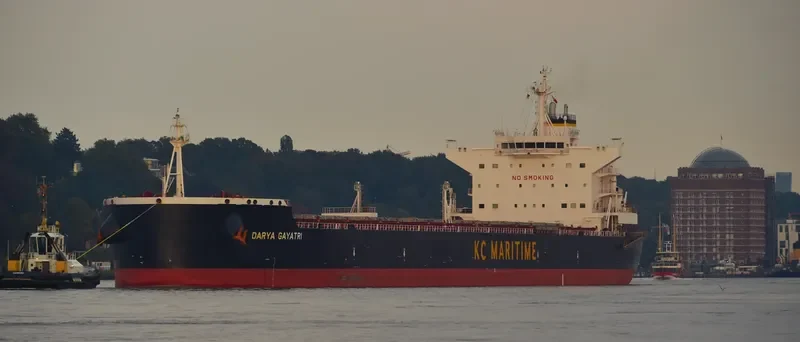 DARYA GAYATRI Bulk Carrier IMO 9591686 photo 9