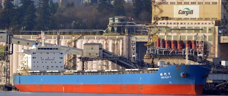 SHI DAI 9 Bulk Carrier IMO 9591703