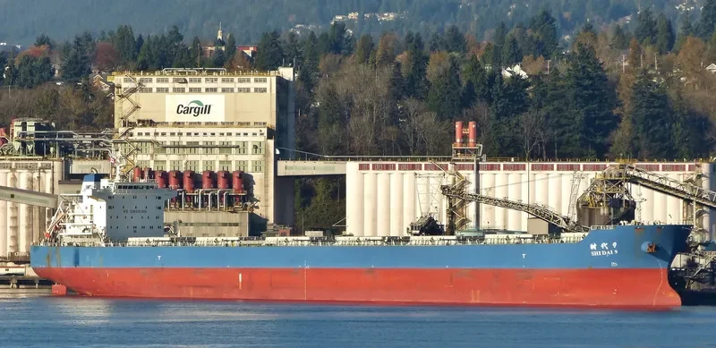 SHI DAI 9 Bulk Carrier IMO 9591703 photo 2