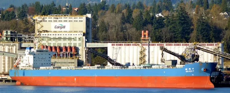 SHI DAI 9 Bulk Carrier IMO 9591703 photo 4