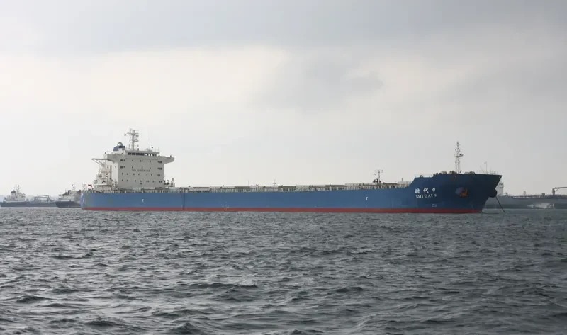 SHI DAI 9 Bulk Carrier IMO 9591703 photo 7