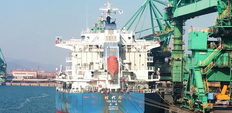 SHI DAI 10 Bulk Carrier IMO 9591715
