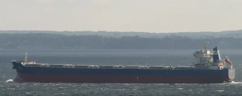 SHI DAI 10 Bulk Carrier IMO 9591715 photo 2
