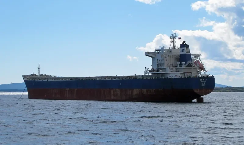 SHI DAI 11 Bulk Carrier IMO 9591727 photo 4