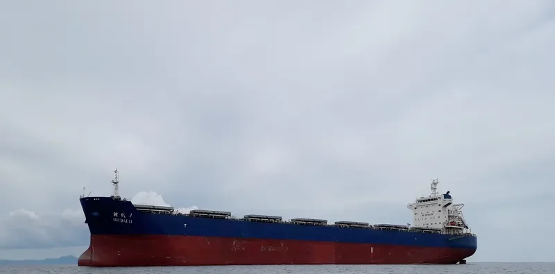 SHI DAI 11 Bulk Carrier IMO 9591727 photo 7