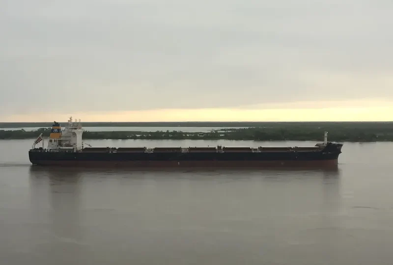 MBA ROSARIA Bulk Carrier IMO 9591765