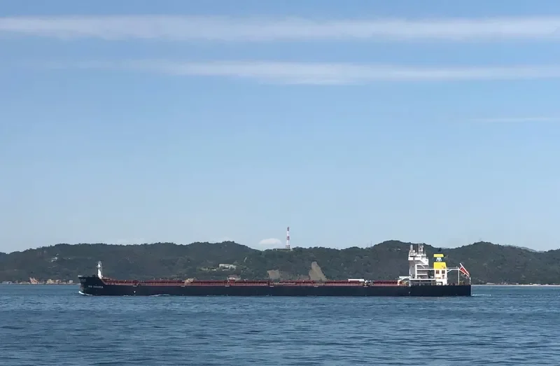 MBA ROSARIA Bulk Carrier IMO 9591765 photo 6