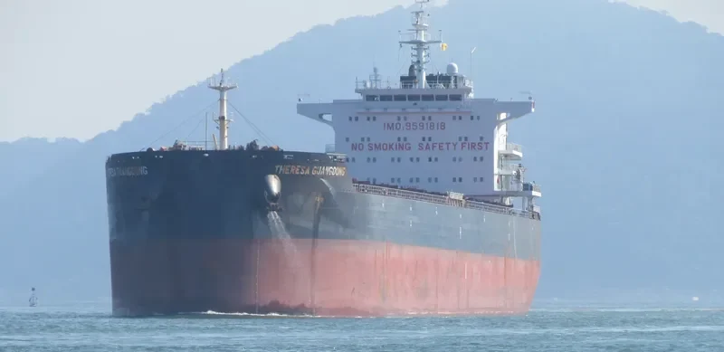 THERESA GUANGDONG Bulk Carrier IMO 9591818