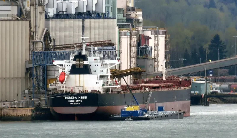 THERESA HEBEI Bulk Carrier IMO 9591832 photo 4