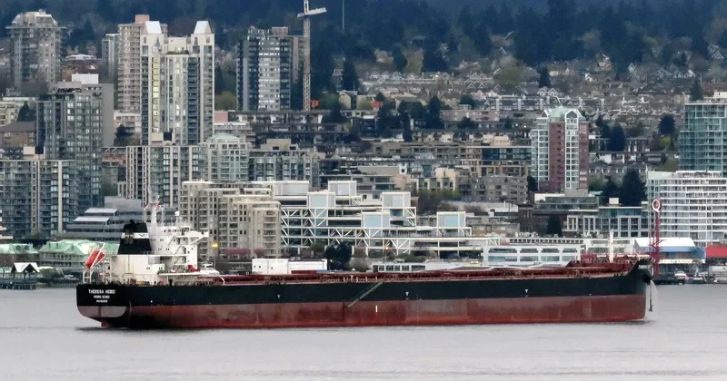 THERESA HEBEI Bulk Carrier IMO 9591832 photo 5
