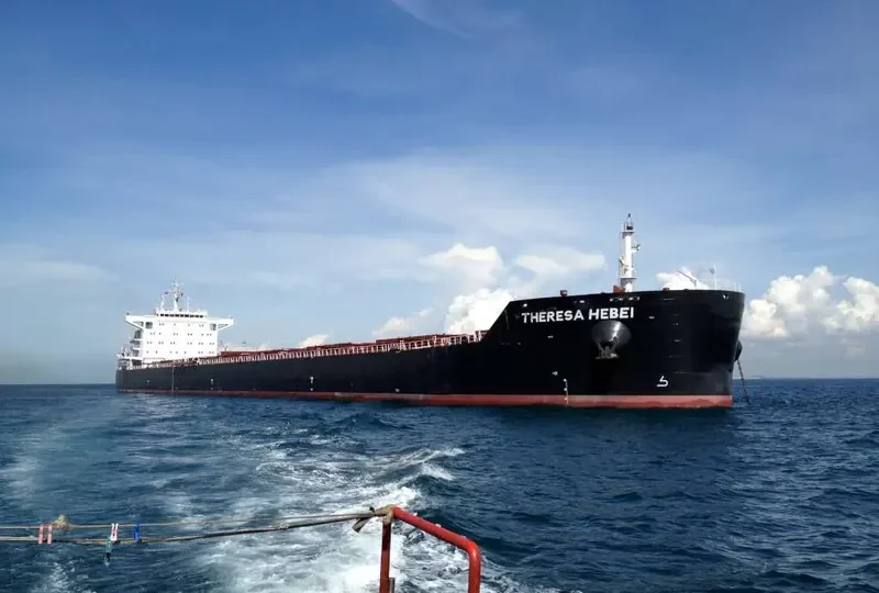 THERESA HEBEI Bulk Carrier IMO 9591832 photo 7