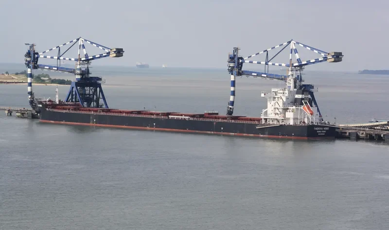 THERESA HEBEI Bulk Carrier IMO 9591832 photo 8