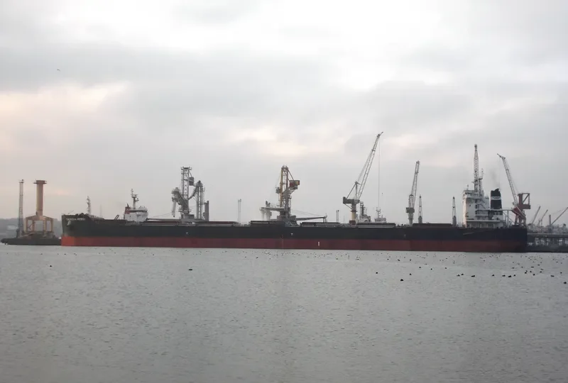 THERESA HEBEI Bulk Carrier IMO 9591832 photo 9