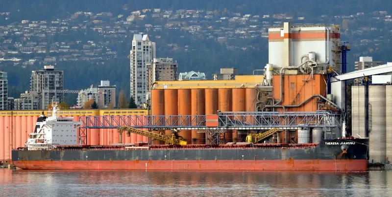 THERESA JIANGSU Bulk Carrier IMO 9591844 photo 3