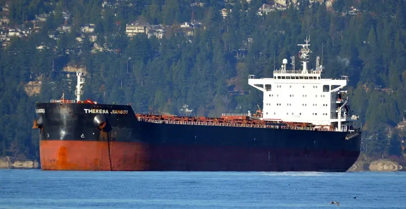 THERESA JIANGSU Bulk Carrier IMO 9591844 photo 5