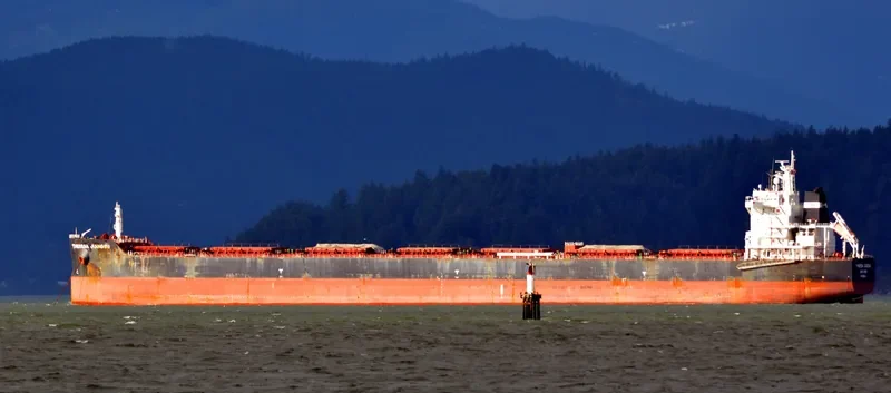 THERESA JIANGSU Bulk Carrier IMO 9591844 photo 6