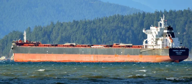 THERESA JIANGSU Bulk Carrier IMO 9591844 photo 7