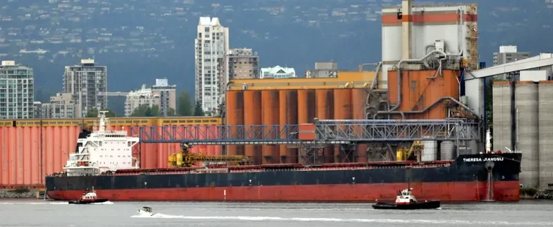 THERESA JIANGSU Bulk Carrier IMO 9591844 photo 9