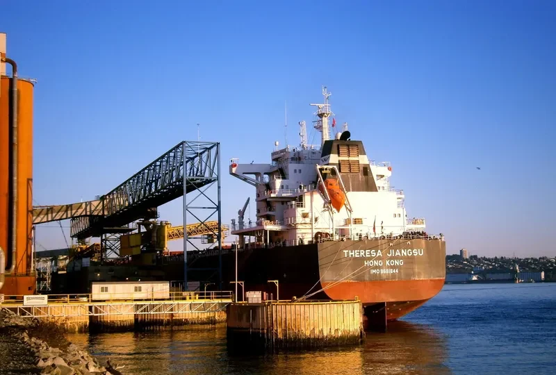 THERESA JIANGSU Bulk Carrier IMO 9591844 photo 10