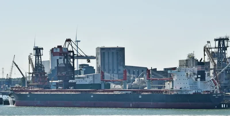 CORAL JASPER Bulk Carrier IMO 9591961 photo 2
