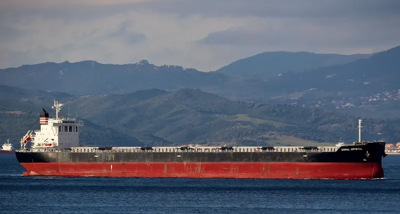 CORAL CRYSTAL Bulk Carrier IMO 9591985 photo 4
