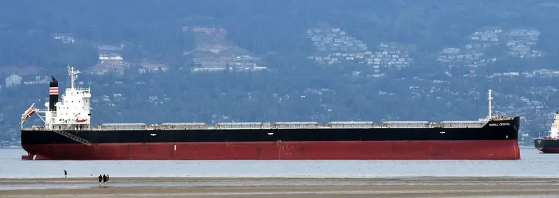 CORAL CRYSTAL Bulk Carrier IMO 9591985 photo 10