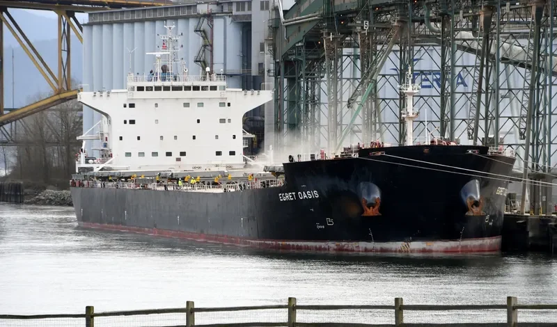 EGRET OASIS Bulk Carrier IMO 9592006
