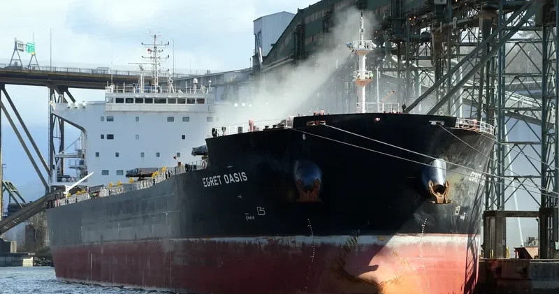 EGRET OASIS Bulk Carrier IMO 9592006 photo 3