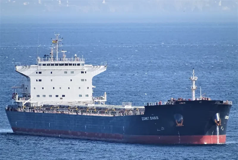 EGRET OASIS Bulk Carrier IMO 9592006 photo 5