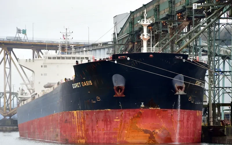 EGRET OASIS Bulk Carrier IMO 9592006 photo 8