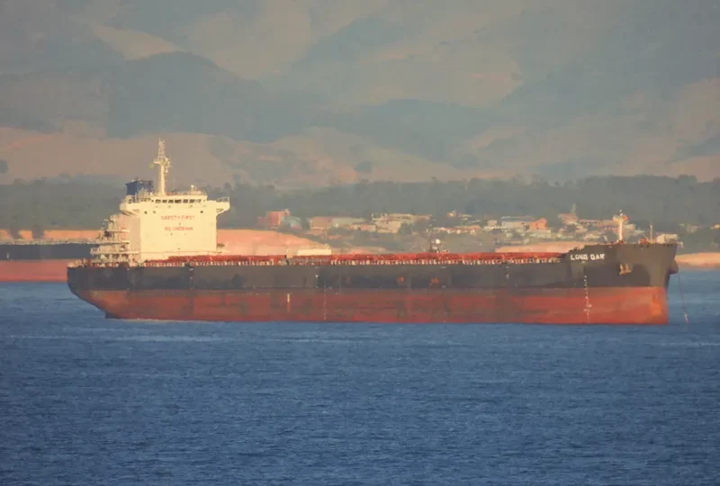 OCEAN ROSEMARY Bulk Carrier IMO 9592070